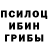 Галлюциногенные грибы Psilocybe Asio Arif
