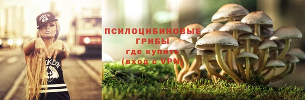 спиды Алзамай