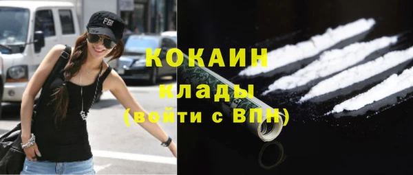 спиды Алзамай