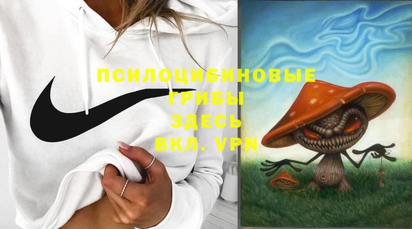 спиды Алексин