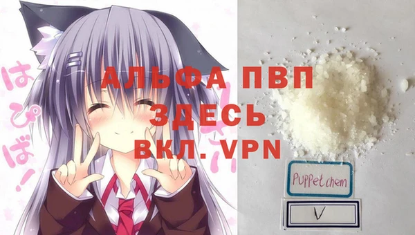 спиды Алексин