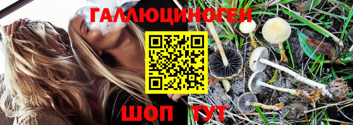 Галлюциногенные грибы Cubensis  Вход с VPN  Галлюциногенные грибы Psilocybine cubensis  Качканар 