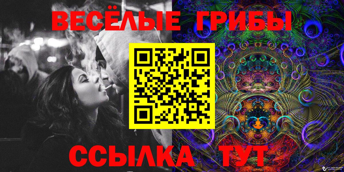 Псилоцибиновые грибы MAGIC MUSHROOMS Качканар