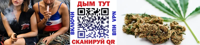 закладка Качканар Бошки марихуана индика